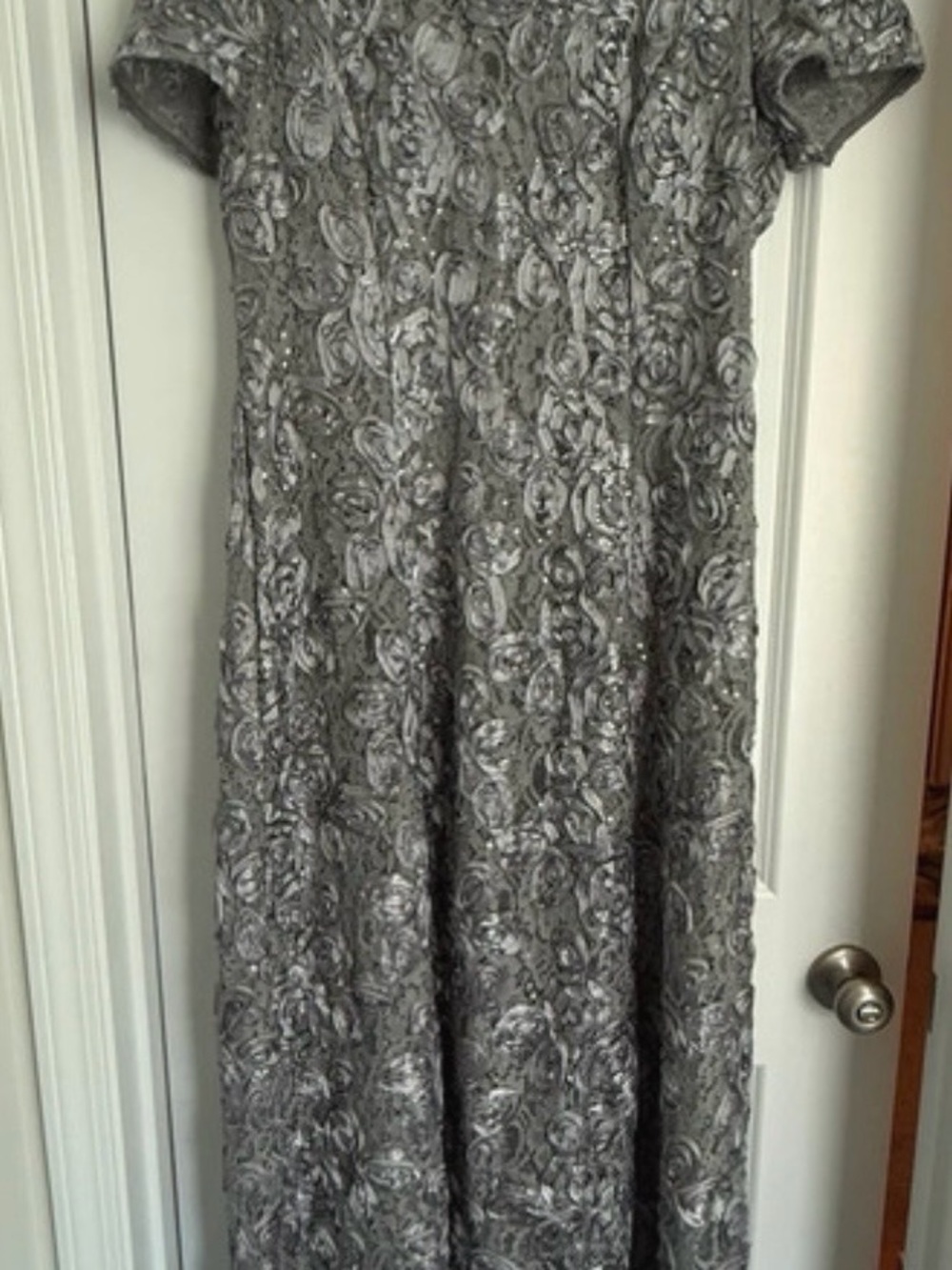 Alex Evenings Silver Lace Maxi Dress